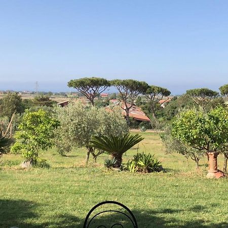 Appartamento In Villa Di Judighes Cerveteri Kültér fotó