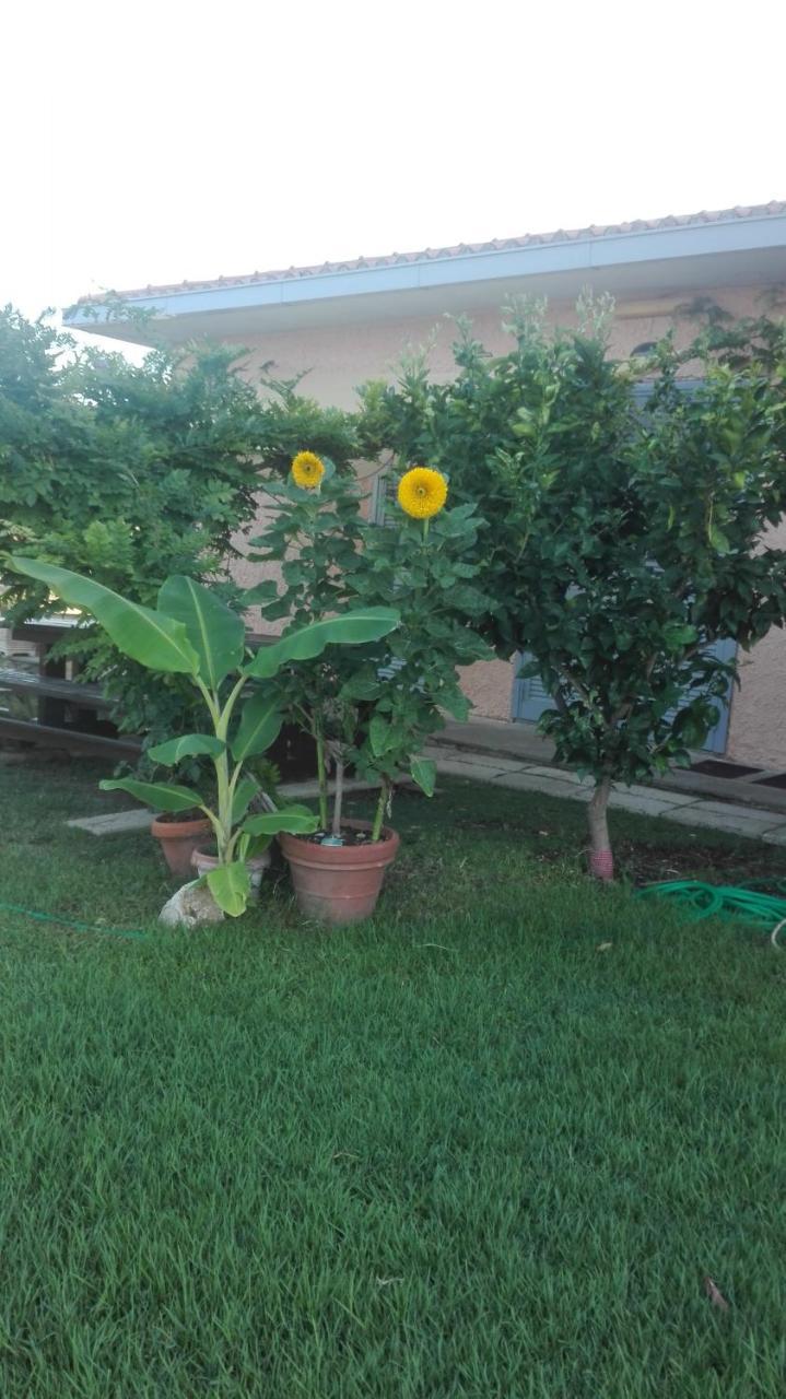 Appartamento In Villa Di Judighes Cerveteri Kültér fotó