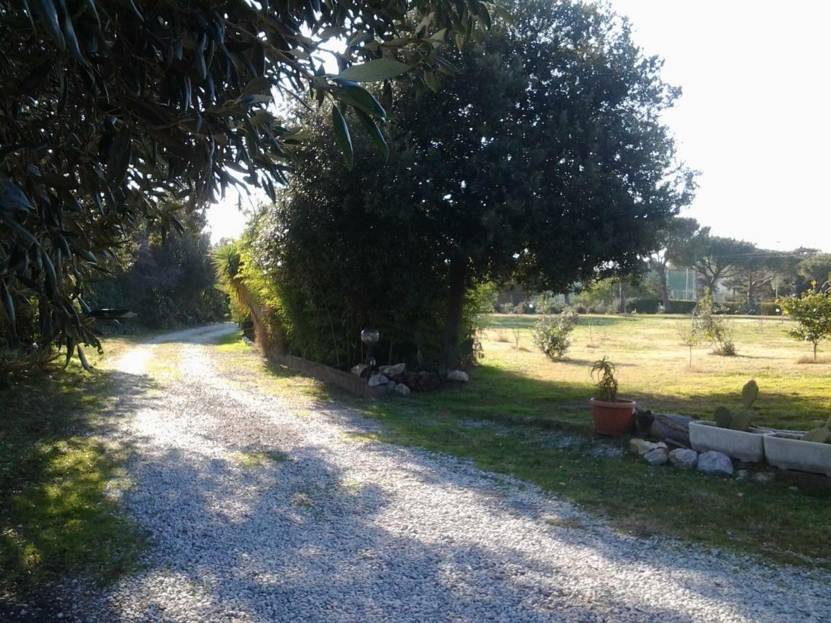 Appartamento In Villa Di Judighes Cerveteri Kültér fotó